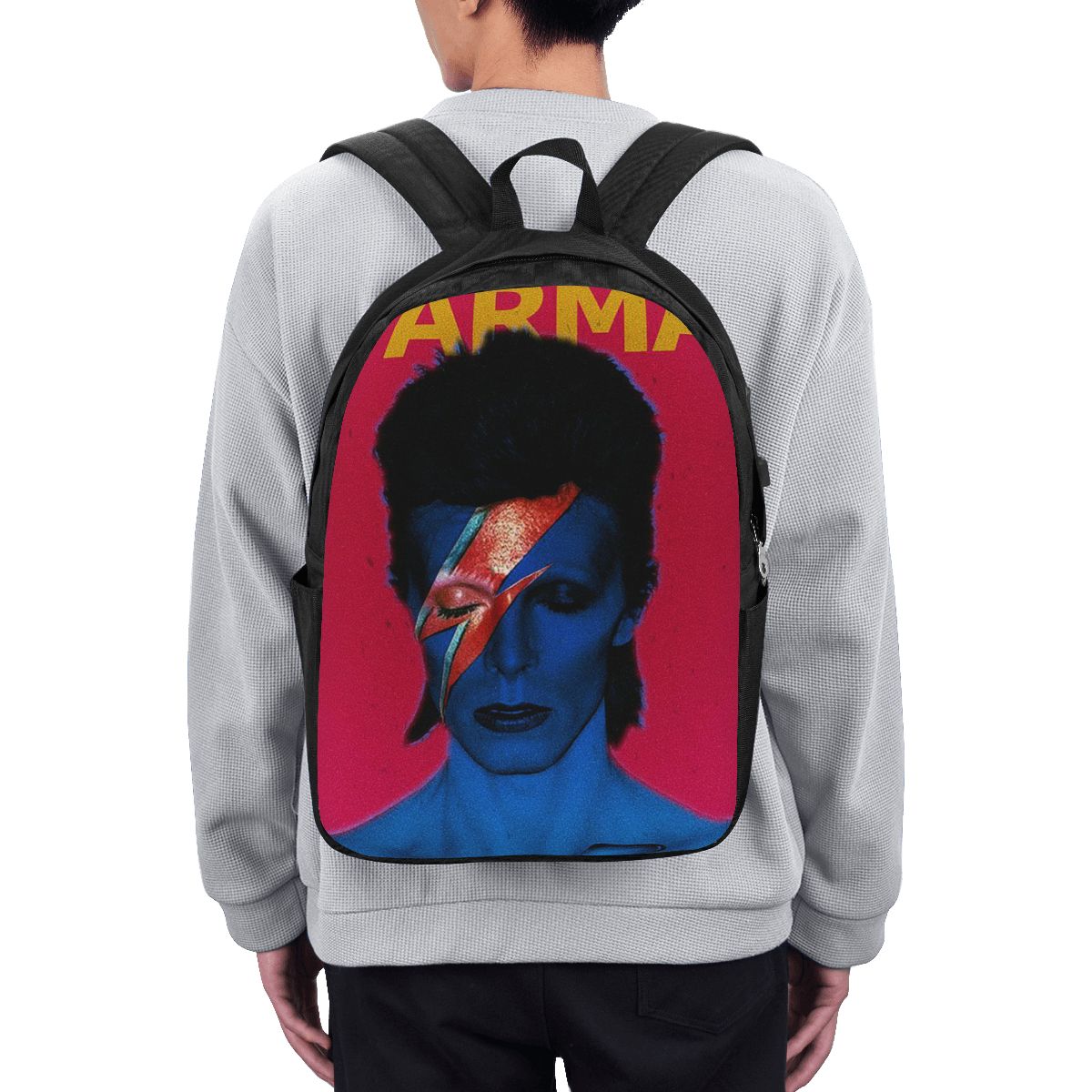 Davids Bowied Backpack Travel  - огляд і ціна Laptops