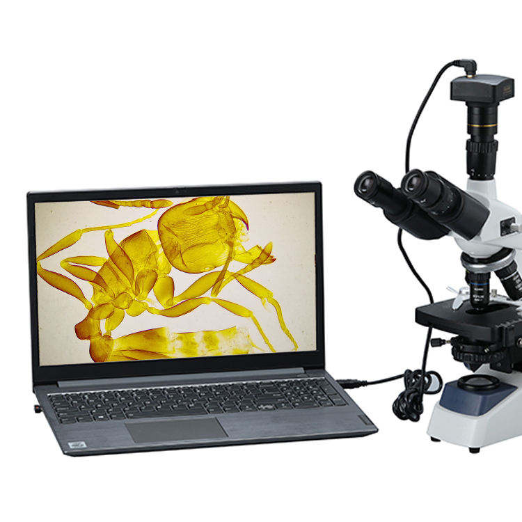 Binocular Biological Digital V - огляд і ціна Cameras